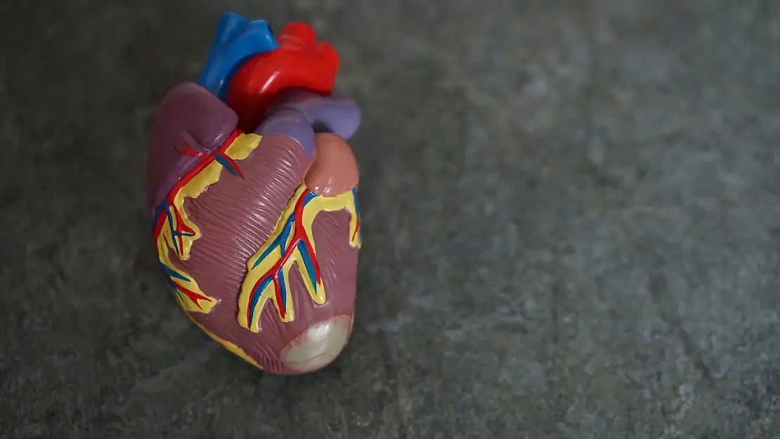 Organ Bağışı Artık E-Devlet ve E-Nabız'dan Çok Kolay!