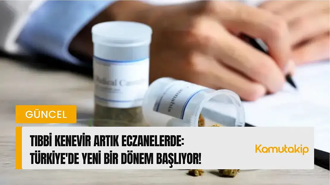 Tıbbi Kenevir Artık Eczanelerde: Türkiye'de Yeni Bir Dönem Başlıyor!