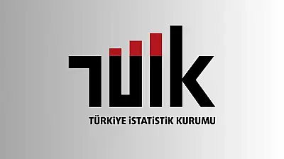 Türkiye İstatistik Kurumu'ndan 10 Sözleşmeli Bilişim Personeli Alımı