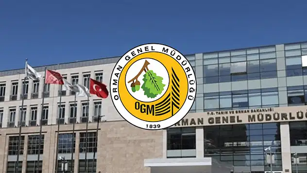 Orman Genel Müdürlüğü'nden 262 Daimi İşçi Alımı: Engelli ve Eski Hükümlüler İçin Fırsat