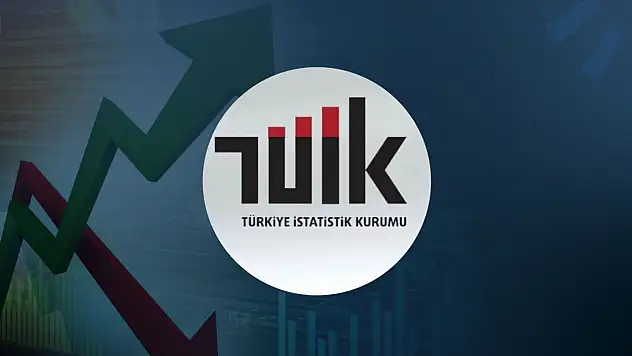 Sanayi Üretimi Haziran'da Yükseldi: İmalat ve Enerji Sektörleri Arttı