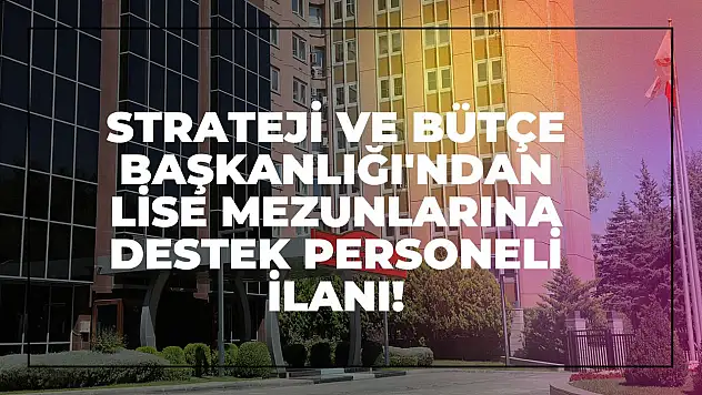 Strateji ve Bütçe Başkanlığı'ndan Lise Mezunlarına Destek Personeli İlanı!