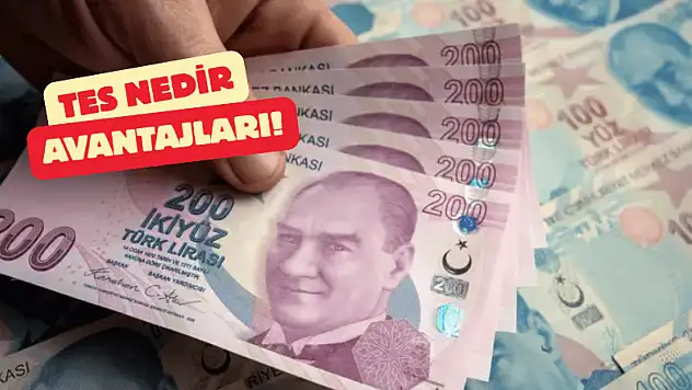 Tamamlayıcı Emeklilik Sistemi (TES) Nedir, Nasıl Çalışır?
