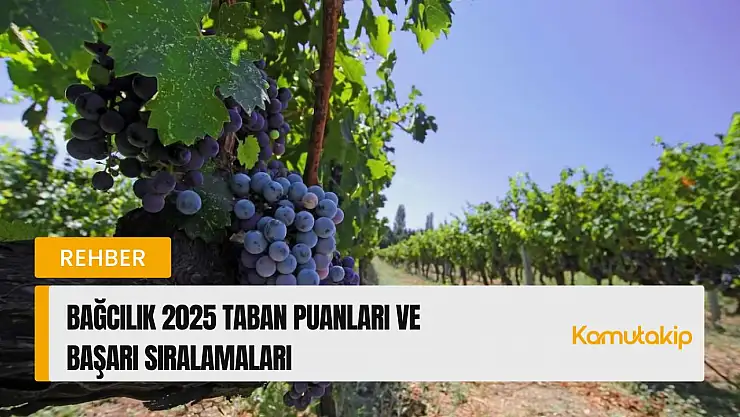 Bağcılık (2 Yıllık) Taban Puanları ve Başarı Sıralamaları Güncellendi!