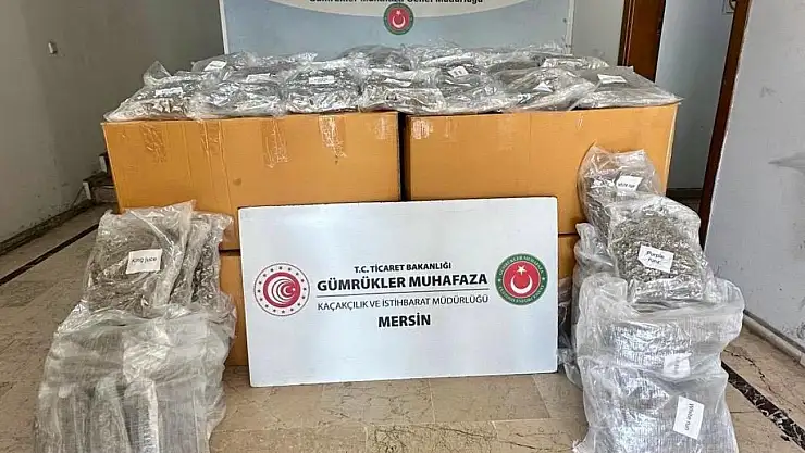 Mersin Limanı'nda Tarihi Operasyon: 587 Kilogram Esrar Ele Geçirildi