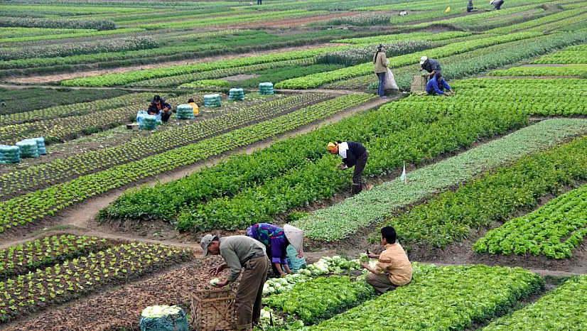 2025-2027 Dönemi Yeni Tarım Destekleri Açıklandı!