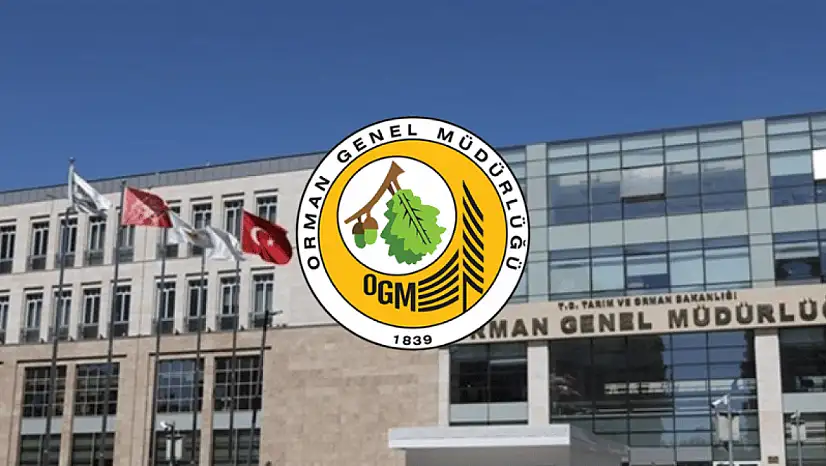 Orman Genel Müdürlüğü'nden 262 Daimi İşçi Alımı: Engelli ve Eski Hükümlüler İçin Fırsat